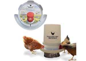 Durable Poultry Waterers