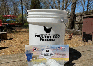no mess chicken feeder