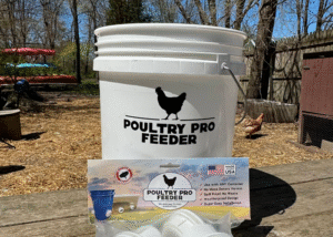 shark tank chicken feeders