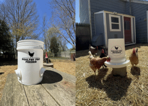 Best chicken feeder and waterer
