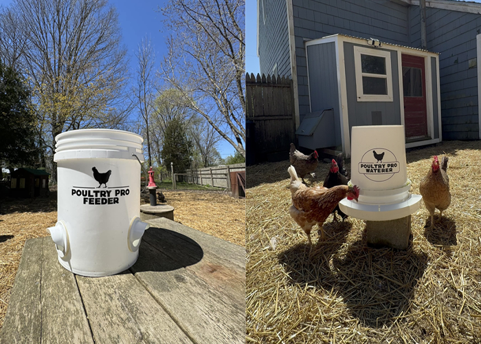 Best chicken feeder and waterer