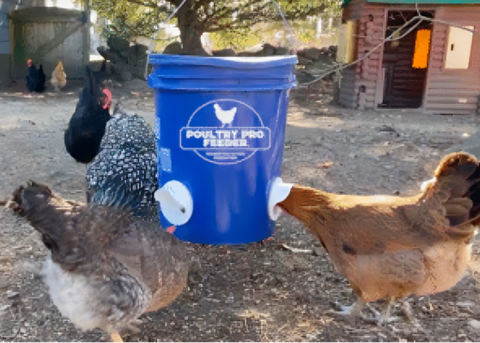 Poultry gravity feeder
