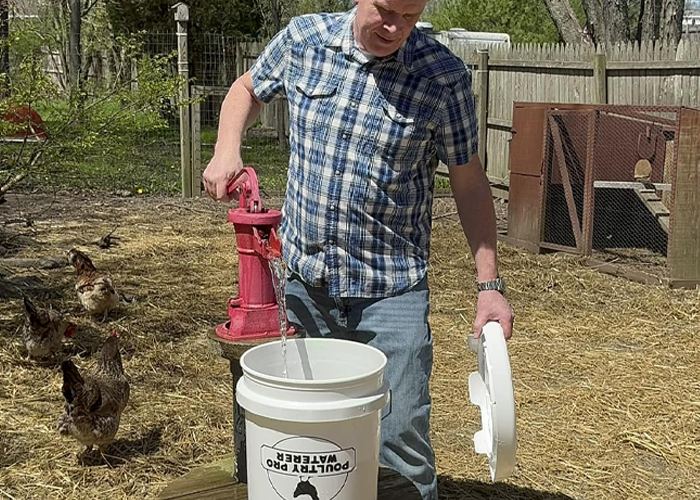 Automatic waterer