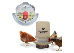 DIY chicken waterer