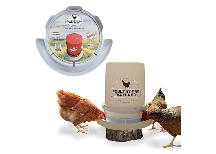 DIY chicken waterer