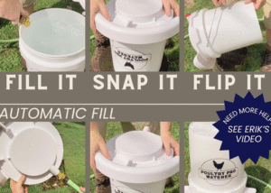 5 gallon poultry waterer