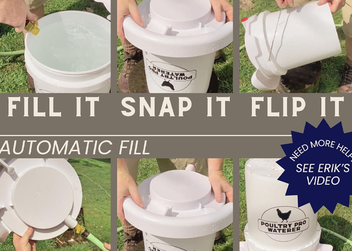 5 gallon poultry waterer