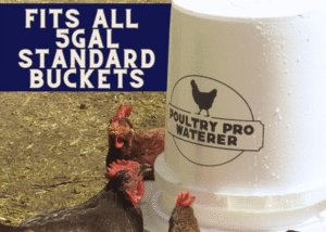 5 gallon poultry waterer