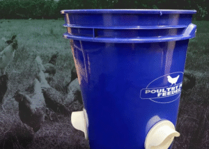 Bucket chicken feeders