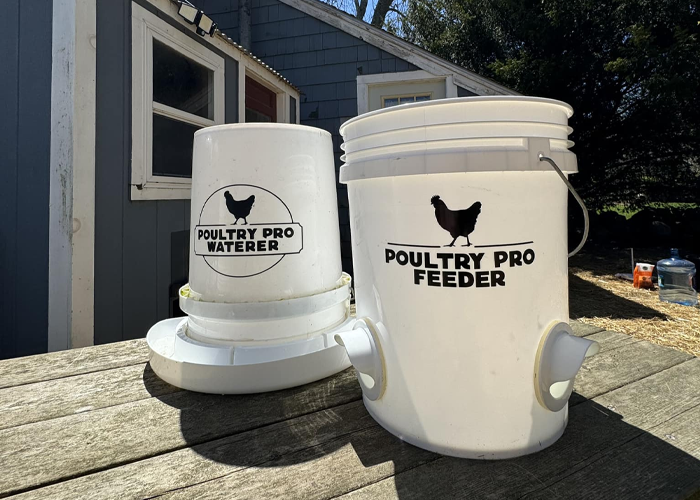 Chicken Feeders for Sale