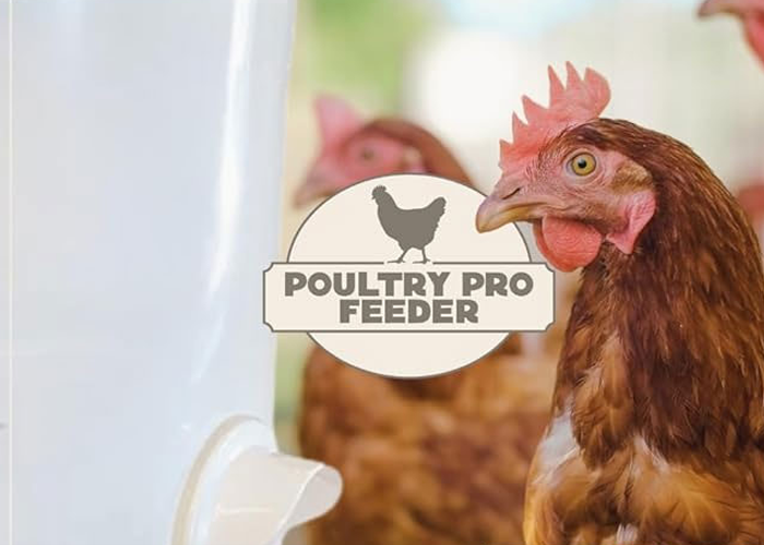 shark tank chicken feeders