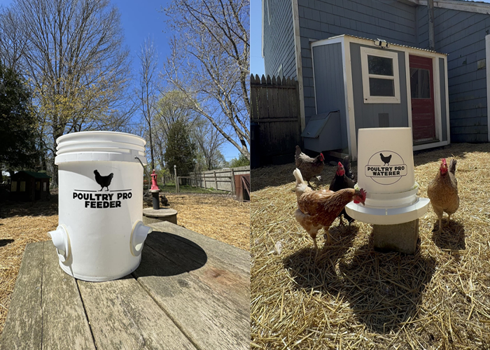 Best chicken feeder and waterer