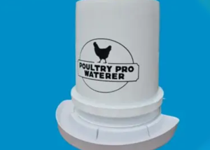 Durable Poultry Waterers