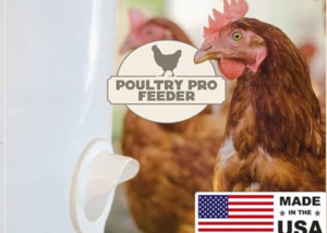 Poultry feeder DIY