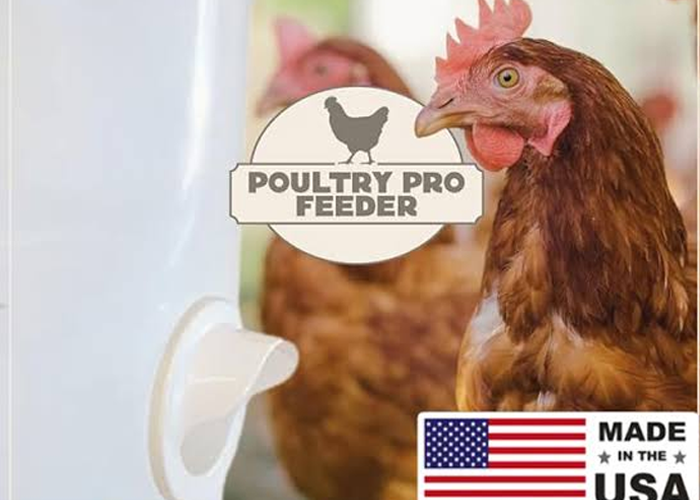 Poultry feeder DIY