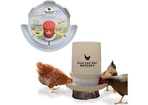 Best Chicken Waterer