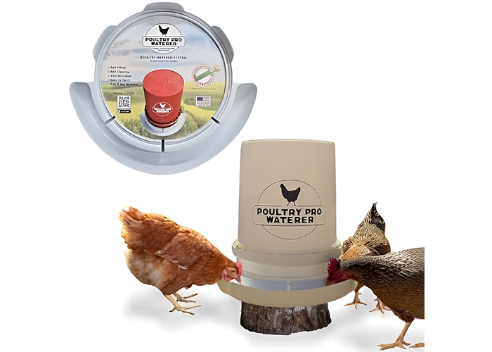 Best Chicken Waterer
