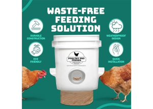 No waste chicken feeder