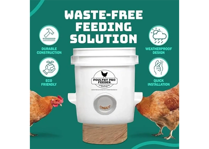 No waste chicken feeder